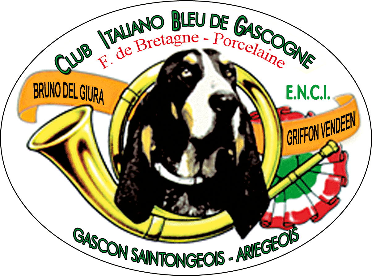 Club Italiano Bleu De Gascogne